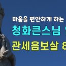 청화큰스님 관세음보살 염불 8시간(유튜브) 이미지