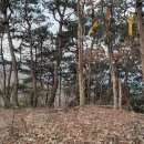 금호강 23번 Daum카페