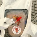 신평역 | 신평역 맛집 아임퐝 실비김치 포장 후기｜부산 실비김치 매콤한 밥도둑, 굴보쌈도 궁금해지는 곳