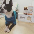 더반프로젝트 이미지