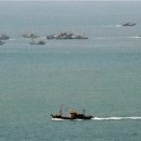 서해꽃게 이미지