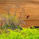 덕치과기공소 이미지