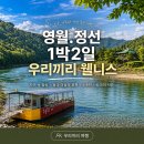 주변 이야기 | 청령포 입장료 소요시간 평일 오전 방문 후기 정리