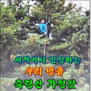 세계가 인정하는 우리명품 축령산 가평잣 (현장학습) 이미지