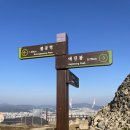 백양산체육공원 | [부산] 백양산 선암사 등산 코스(선암사 - 애진봉 - 정상 - 원점회귀)