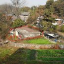 내곡동516 이미지