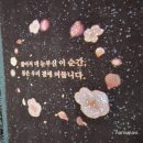 낙동제방 데크 전망대 입구 | 부산 가볼만한곳 낙동제방벚꽃길(ft.낙동강정원벚꽃축제, 삼락생태공원)