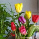 화원농장 이미지