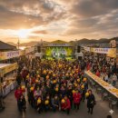 유자나무펜션 | 고흥유자축제 라인업 기본정보 일정표 하이라이트