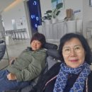 어우리단기보호소 네이버블로그