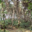 양지7리(양지@) 이미지