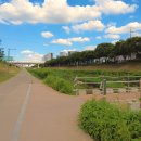 율하천자전거길 이미지