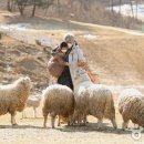 대로목장 이미지