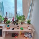 제로스퀘어학원 이미지