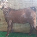 이천제이농장 이미지