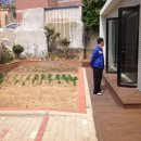 죽림공동체 이미지