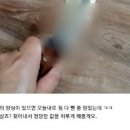 "르노 '집게손' 직원, 정당한 값 치를 것"…살인 예고글 등장(1일 올라왔던글 현재 삭제) 이미지