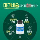 더씨엠 이미지