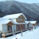 고로쇠펜션 이미지