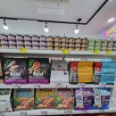 애견용품할인점