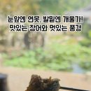 우둠지 풍천장어