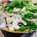 향원 티스토리