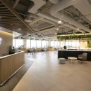 뉴로동물암센터 이미지