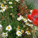 메가마트 옆 이미지