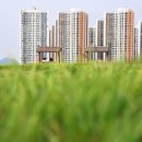 배곧생명공원 이미지