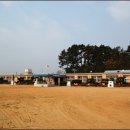 동호초교 이미지