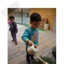 예능어린이집 이미지