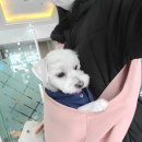 뮤동물병원 이미지