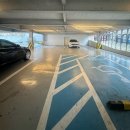 배울네거리 | 대구 수성구 만촌동 24시 헬스장 추천 레드짐 만촌네거리점 PT 후기