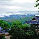 신점선생묘 이미지