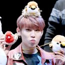 박우산농장 | ‘내안의 초록자 본능이 깨어난다’ 워너원 박우진 180408 첫번째 팬싸인회 프리뷰 모음