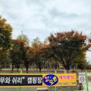 나무와쉬리 이미지