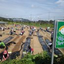 석창농장 이미지