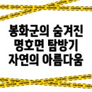 부강세차장 | 봉화군 명호면