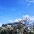 한신대학교 정신분석대학원 | 한신대학교 정신분석학과(박사과정)