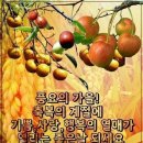 장지법게정 이미지