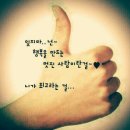 신호등횟집