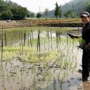 스머프마을 이미지