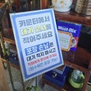 목화반점 이미지