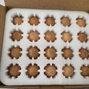 옥길농장 | 건강한 식재료 내돈내산 후기 아침이 달라지는 아침에계란 솔직 리뷰 🥚