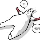 찡케이크 네이버블로그