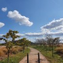 낙동강체육공원 자전거대여소 이미지