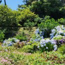 선원2길 이미지