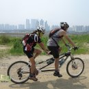 쪽빛하늘로 이미지