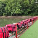 쎄시봉 | 2025년 신규오픈 가평빠지 더파크쎄시봉 내돈내산후기