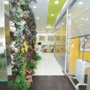 서울길치과의원 이미지